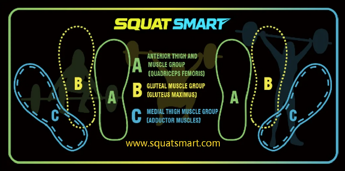 HOW SQUAT SMART WORKS